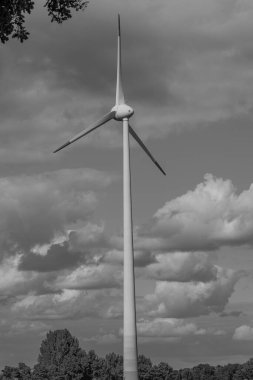 Westphalia 'da Ramsdorf yakınlarında yaz mevsimi