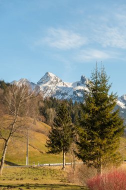 Einsiedeln area, Canton Schwyz, Switzerland, February 20, 2023 Fascinating alpine panorama view on a sunny winter day