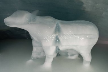 Jungfraujoch, Canton Bern, İsviçre, 11 Şubat 2023 Buz Sarayı içinde bir kutup ayısının heykeli