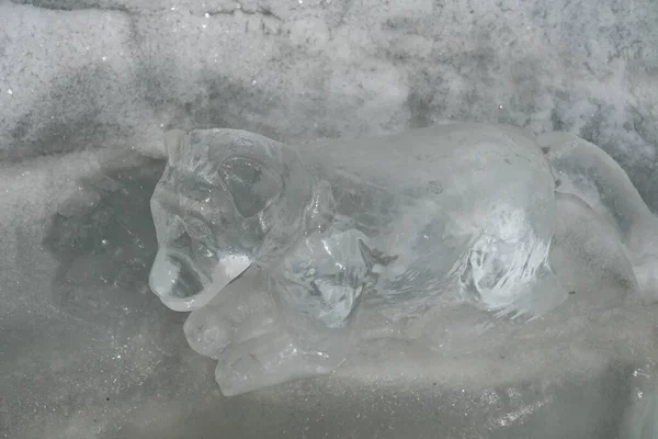 2023年2月11日 瑞士伯尔尼州 Jungfraujoch 冰宫内一只狗的冰雕 — 图库照片