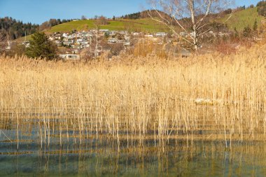 Oberaegeri, İsviçre, 20 Şubat 2023 Güneşli bir günde Aegerisee Gölü üzerinde inanılmaz panoramik manzara