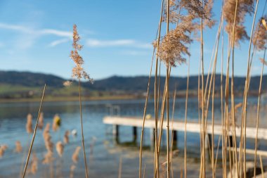 Oberaegeri, İsviçre, 20 Şubat 2023 Güneşli bir günde Aegerisee Gölü 'nün kıyısında küçük bir rıhtım.