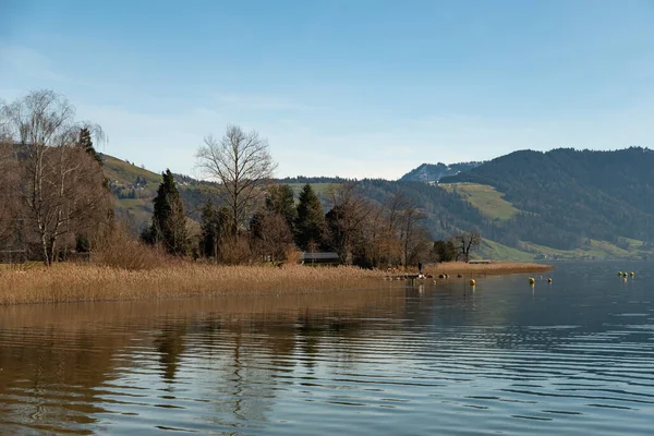 Oberaegeri Švýcarsko Února 2023 Nádherná Krajina Jezera Aegerisee Slunečného Dne — Stock fotografie