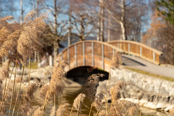 Oberaegeri Szwajcaria Lutego 2023 Mały Drewniany Most Dla Pieszych Nad — Zdjęcie stockowe