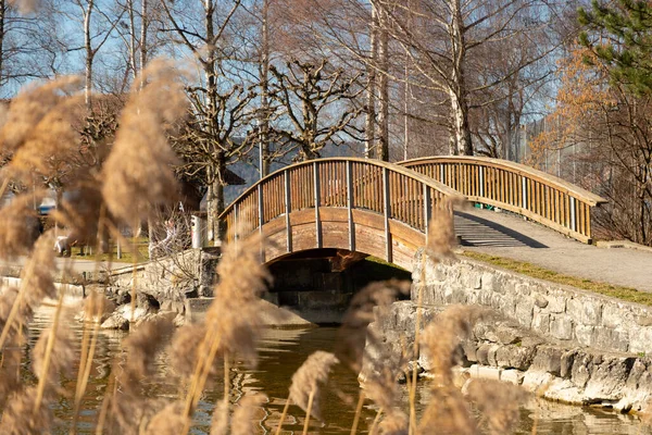 2023年2月20日 瑞士奥贝雷塞里 一个阳光灿烂的日子 埃格瑞西湖畔的一座小型木制行人桥 — 图库照片