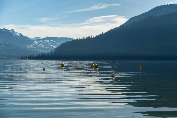 stock image Oberaegeri, Switzerland, February 20, 2023 Incredible panoramic view over the lake Aegerisee on a sunny day