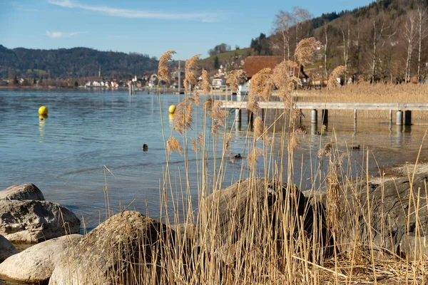 stock image Oberaegeri, Switzerland, February 20, 2023 Incredible panoramic view over the lake Aegerisee on a sunny day