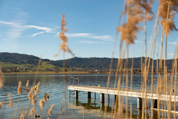 スイス オベレーゲリ2023年2月20日晴れた日にエーゲリーゼ湖のウォーターフロントにある小さな桟橋 — ストック写真