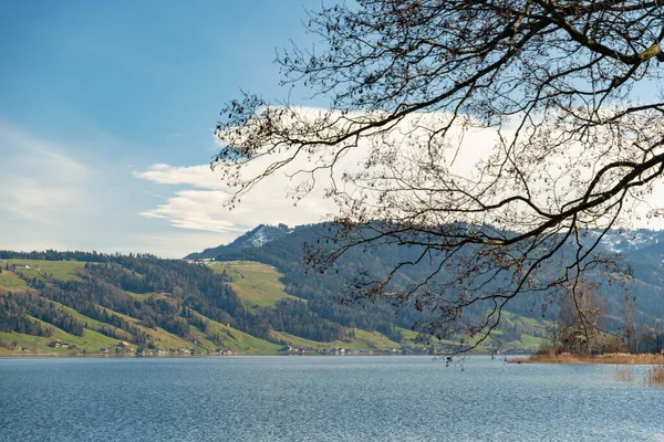 Unteraegeri Suíça Fevereiro 2023 Paisagem Idílica Beira Mar Lago Aegerisee — Fotografia de Stock