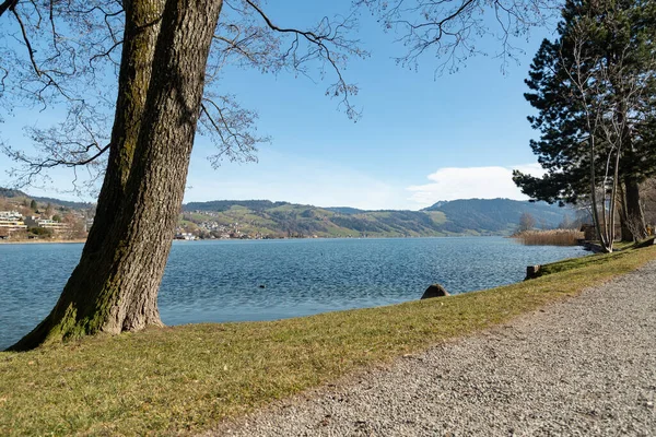 スイスのUnteraegeri 2023年2月20日晴れた日にエーゲリゼ湖のウォーターフロントの牧歌的な風景 — ストック写真