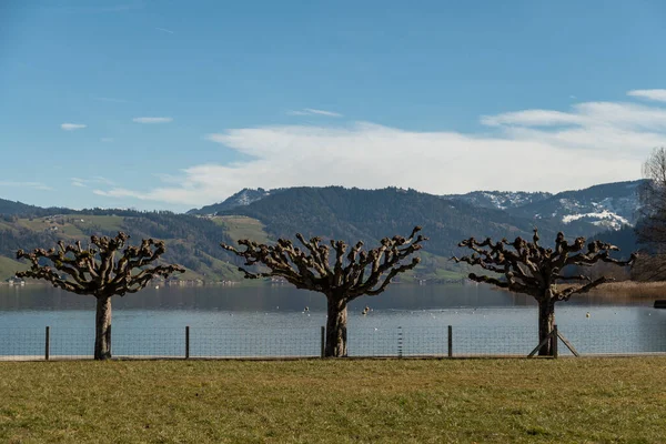 スイスのUnteraegeri 2023年2月20日晴れた日にエーゲ海の湖の壮大な景色 — ストック写真