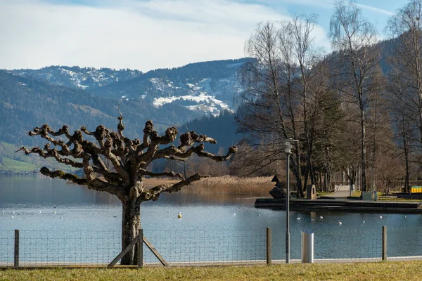 Unteraegeri Sviçre Şubat 2023 Güneşli Bir Günde Aegerisee Gölü Üzerinde — Stok fotoğraf
