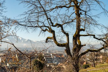Thun, İsviçre, 13 Şubat 2023 Güneşli bir günde şehrin muhteşem manzarası