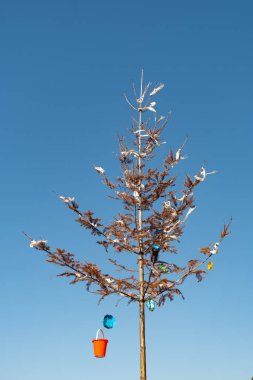 Thun, İsviçre, 13 Şubat 2023 Buket güneşli bir günde bir ağacın dalında asılı duruyor.