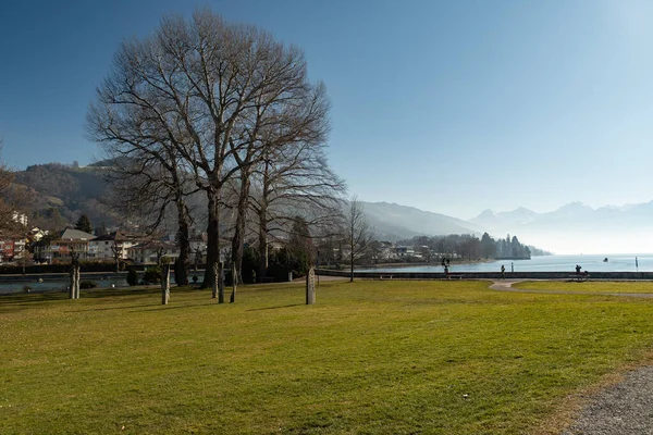 2023年2月13日スイス天気の良い日にロマンチックな緑のシャダウ公園 — ストック写真