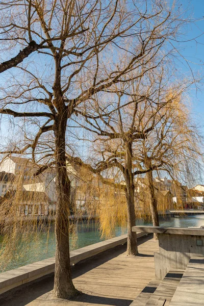 2023年2月13日 瑞士图恩 市中心的亚雷河畔 — 图库照片