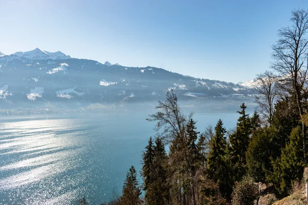 2023年2月12日 瑞士伯尔尼州贝登堡 阳光普照的图恩湖上的壮丽景色 — 图库照片