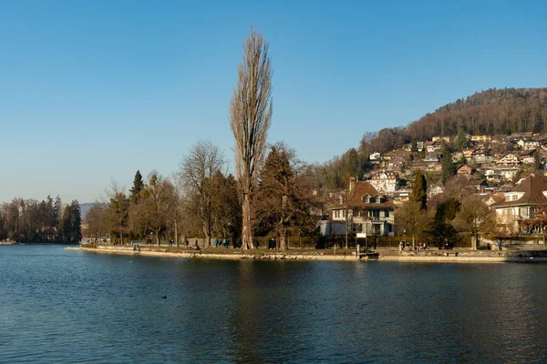 その後 スイス 2月12 2023雪に覆われたアルプスの上に素晴らしい景色を望むThun湖のSchadau公園の水遊歩道 — ストック写真
