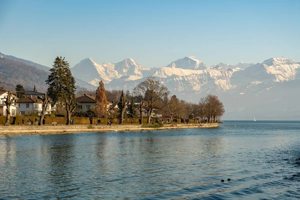 Thun Szwajcaria Lutego 2023 Promenada Wodna Parku Schadau Nad Jeziorem — Zdjęcie stockowe