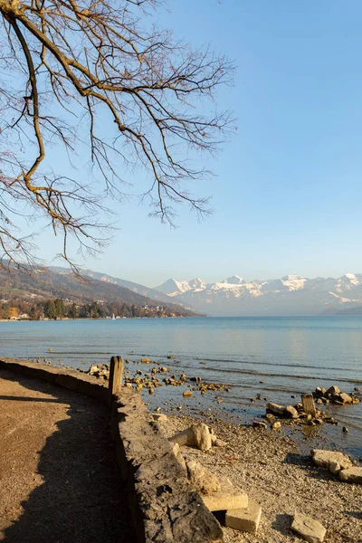 Thun Schweiz Februari 2023 Vattenpromenad Vid Schadau Park Vid Sjön — Stockfoto