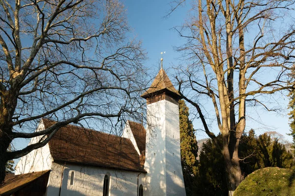 Thun Suisse Février 2023 Petite Église Scherzligen Dans Petit Parc — Photo