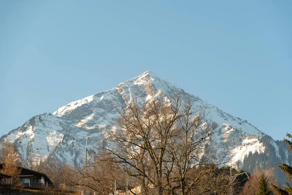 2023年2月13日 瑞士斯皮兹地区阳光灿烂的一天 威严的雪峰覆盖了涅森山 — 图库照片