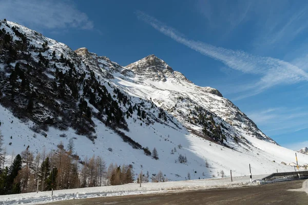 2023年2月21日スイス ジュリア峠晴れた日にジュリア峠の上にあるアルプスの冬の不思議の国 — ストック写真