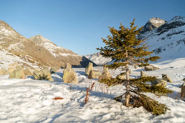 Julier Geçidi Sviçre Şubat 2023 Alp Kış Harikalar Diyarı Güneşli — Stok fotoğraf