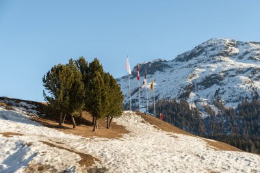 Saint Moritz, İsviçre, 21 Şubat 2023 Güneşli bir günde donmuş gölün kıyısında harikalar diyarı