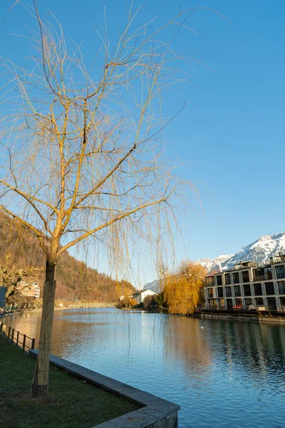 Interlaken Svizzera Febbraio 2023 Passeggiata Acqua Lungo Fiume Aare Nel — Foto Stock