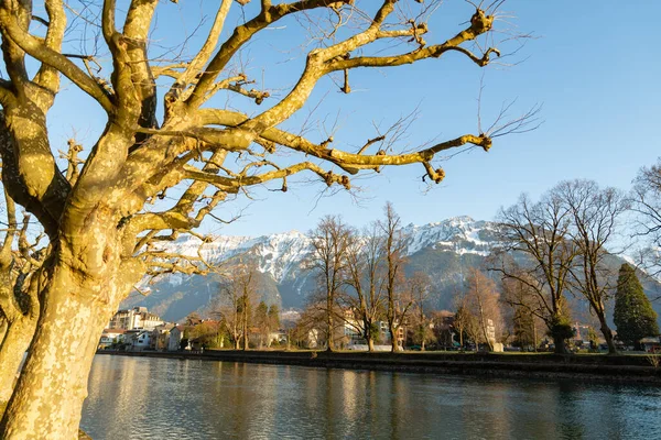 Interlaken Szwajcaria Lutego 2023 Promenada Wodna Wzdłuż Rzeki Aare Centrum — Zdjęcie stockowe