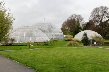 Zürih, İsviçre, 20 Nisan 2023 Güzel botanik bahçesinde farklı tarlalar sergileniyor.