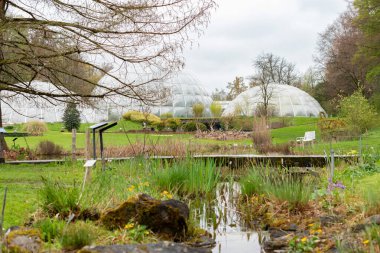Zürih, İsviçre, 20 Nisan 2023 Güzel botanik bahçesinde farklı tarlalar sergileniyor.
