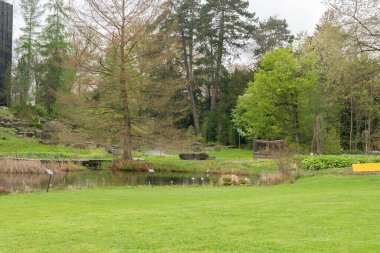 Zürih, İsviçre, 20 Nisan 2023 Güzel botanik bahçesinde farklı tarlalar sergileniyor.