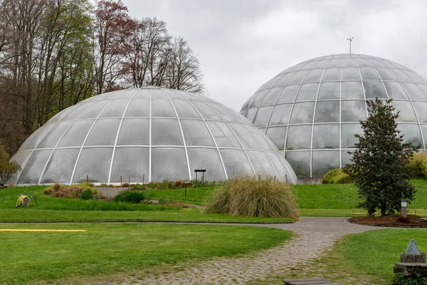 瑞士苏黎世 2023年4月20日不同的种植园在美丽的植物园中展出 — 图库照片