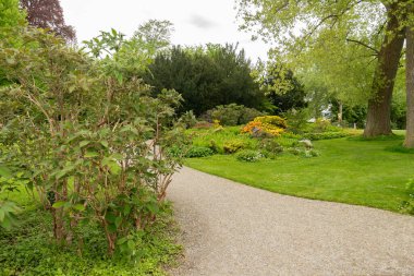 Zürih, İsviçre, 9 Mayıs 2023 Şehir merkezinin yakınındaki göl kenarında güzel bir yeşil park.