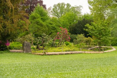 Zürih, İsviçre, 9 Mayıs 2023 Şehir merkezinin yakınındaki göl kenarında güzel bir yeşil park.