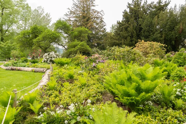 Zurich Switzerland May 2023 Lovely Mixed Plants Growing Public Garden — Stock Photo, Image