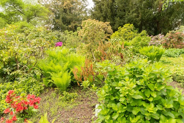 スイスのチューリッヒ2023年5月9日公共の庭で素敵な混合植物が栽培されています — ストック写真