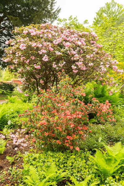 stock image Zurich, Switzerland, May 9, 2023 Lovely mixed plants are growing in a public garden