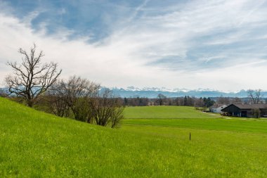Pfaeffikon, Canton Zürih, İsviçre, 10 Nisan 2023 Majestic manzara Pfaeffikersee Gölü kıyısında arka planda Alpler
