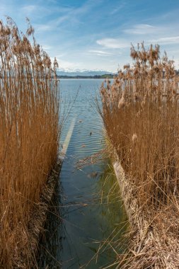 Pfaeffikon, Canton Zürih, İsviçre, 10 Nisan 2023 Pfaeffikersee gölünün karşısındaki büyüleyici kar manzaralı güneşli bir günde arka planda kalan büyüleyici Alpler