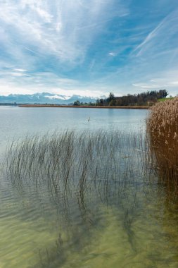 Pfaeffikon, Canton Zürih, İsviçre, 10 Nisan 2023 Pfaeffikersee gölünün karşısındaki büyüleyici kar manzaralı güneşli bir günde arka planda kalan büyüleyici Alpler