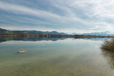 Pfaeffikon, Canton Zürih, İsviçre, 10 Nisan 2023 Pfaeffikersee gölünün karşısındaki büyüleyici kar manzaralı güneşli bir günde arka planda kalan büyüleyici Alpler