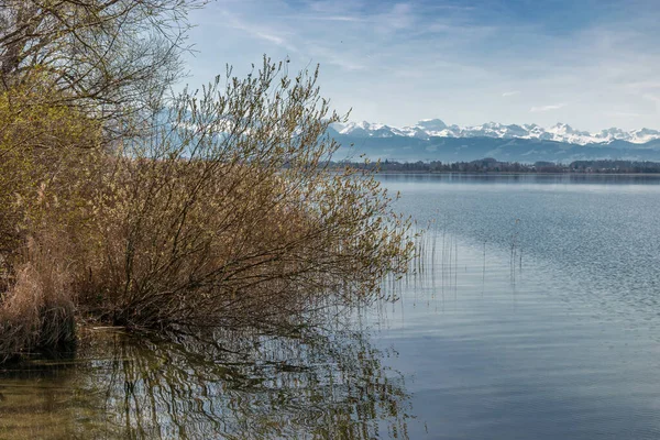 Pfaeffikon Canton Zurich Suiza Abril 2023 Impresionante Vista Sobre Lago —  Fotos de Stock