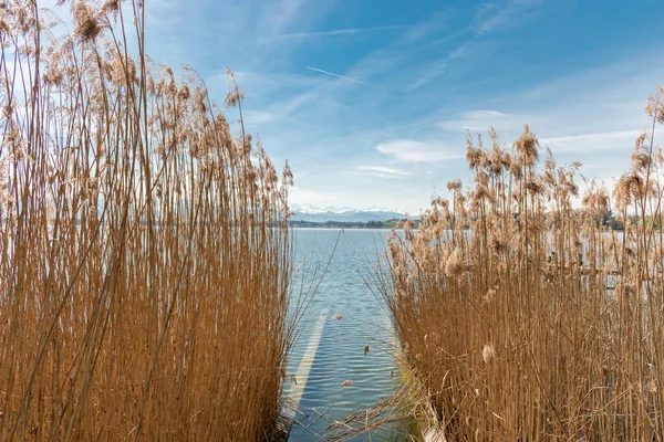 Pfaeffikon Canton Zurich Suiza Abril 2023 Impresionante Vista Sobre Lago —  Fotos de Stock