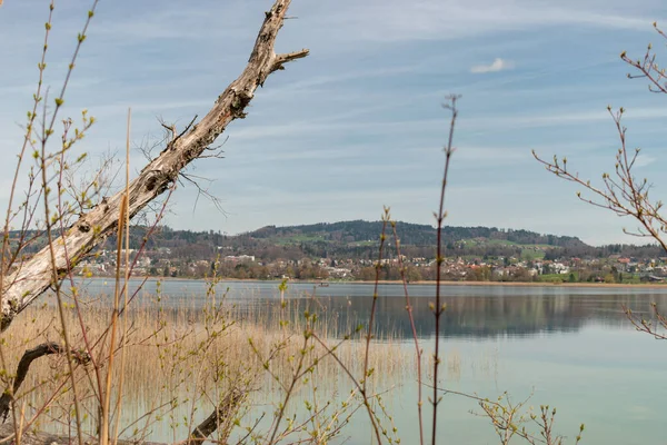 Pfaeffikon Canton Zurigo Svizzera Aprile 2023 Magnifica Vista Sul Lago — Foto Stock