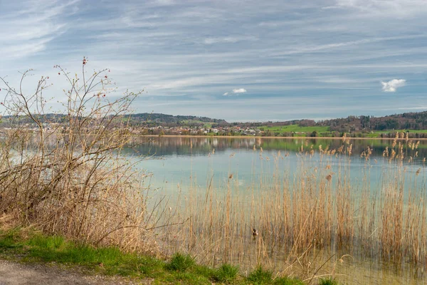 Pfaeffikon Canton Zurigo Svizzera Aprile 2023 Magnifica Vista Sul Lago — Foto Stock