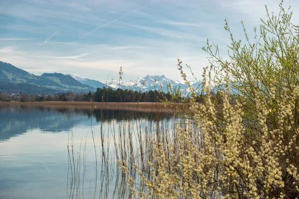 2023年4月10日 瑞士苏黎世州 菲菲菲肯湖对岸的壮丽景色 阳光灿烂的一天 背景上覆盖着迷人的雪花 — 图库照片