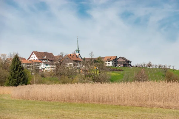 Seegraeben Cantonチューリッヒ スイス 2023年4月10日晴れた日に緑豊かな牧草地の後ろの小さな町への眺め — ストック写真